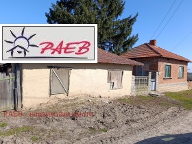 ������ ������� ����