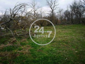 ����� ������� ������,�. ����� �������, ������ �����