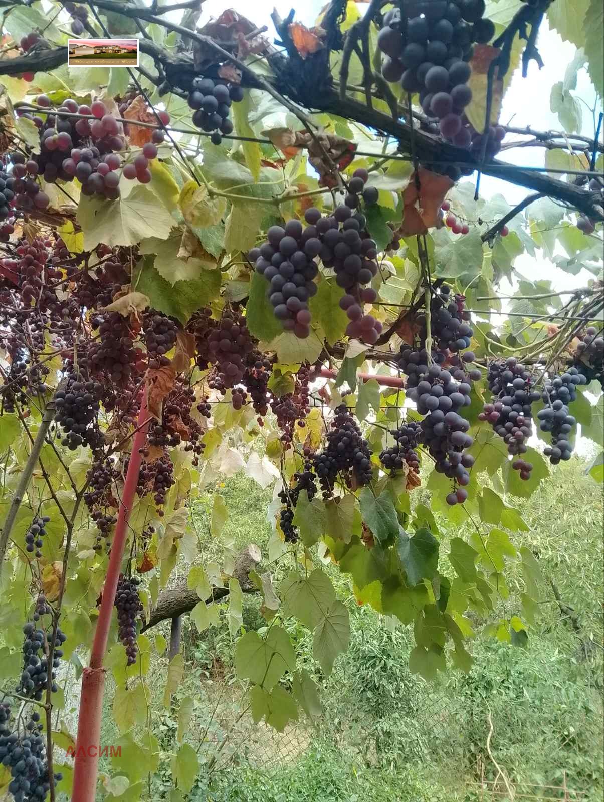 Продава КЪЩА | Imot.bg — изображение 4