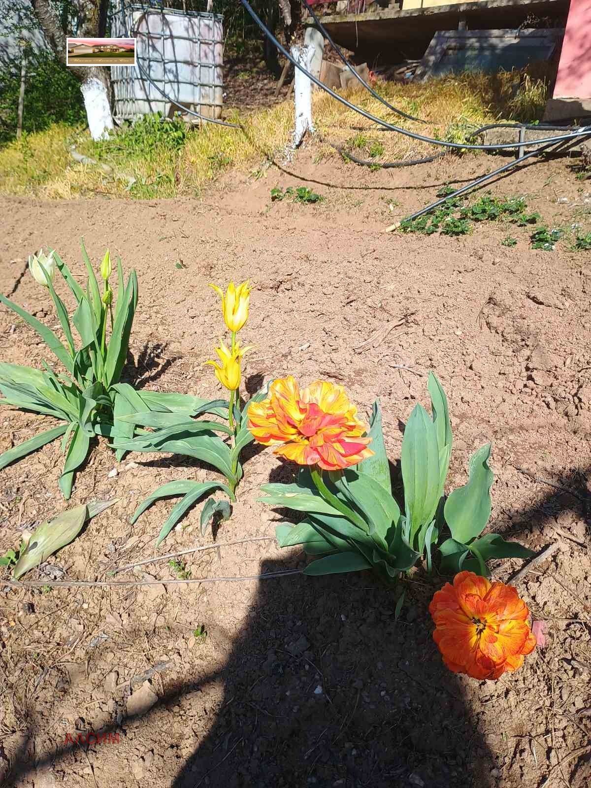 Продава КЪЩА | Imot.bg — изображение 6