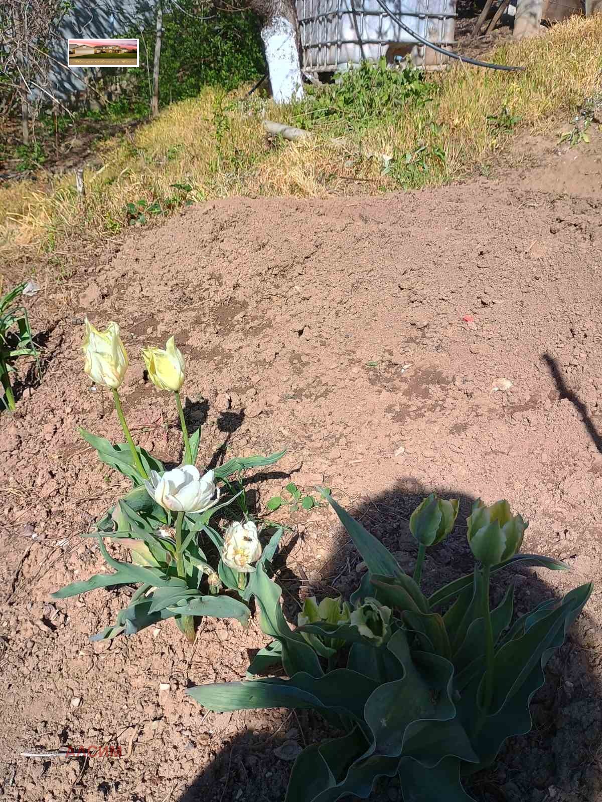 Продава КЪЩА | Imot.bg — изображение 5