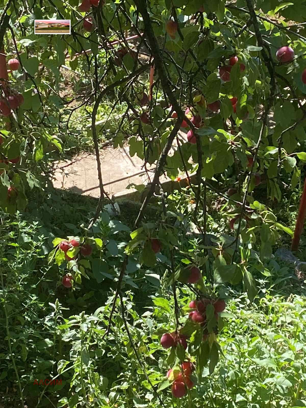 Продава КЪЩА | Imot.bg — изображение 2