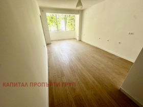 1 quarto Belite brezi, Sofia