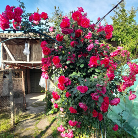 ������� ���� | Imot.bg � ����� ������ 2