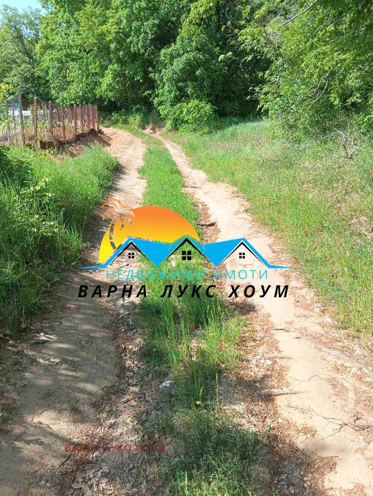 Продаја  Плот Варна , м-т Боровец - југ , 1000 м2 | 28620569 - слика [5]