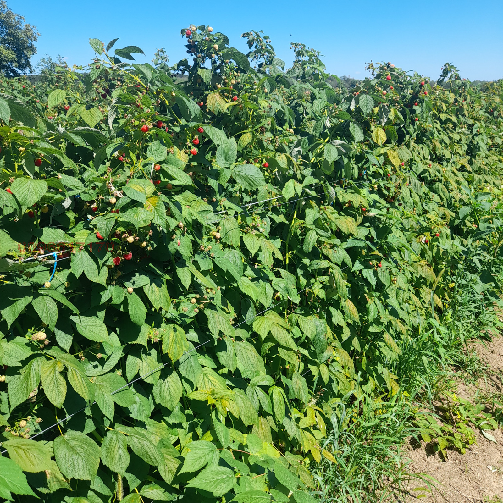 Продава МНОГОСТАЕН, с. Баячево, област Търговище, снимка 2 - Апартаменти - 54242425