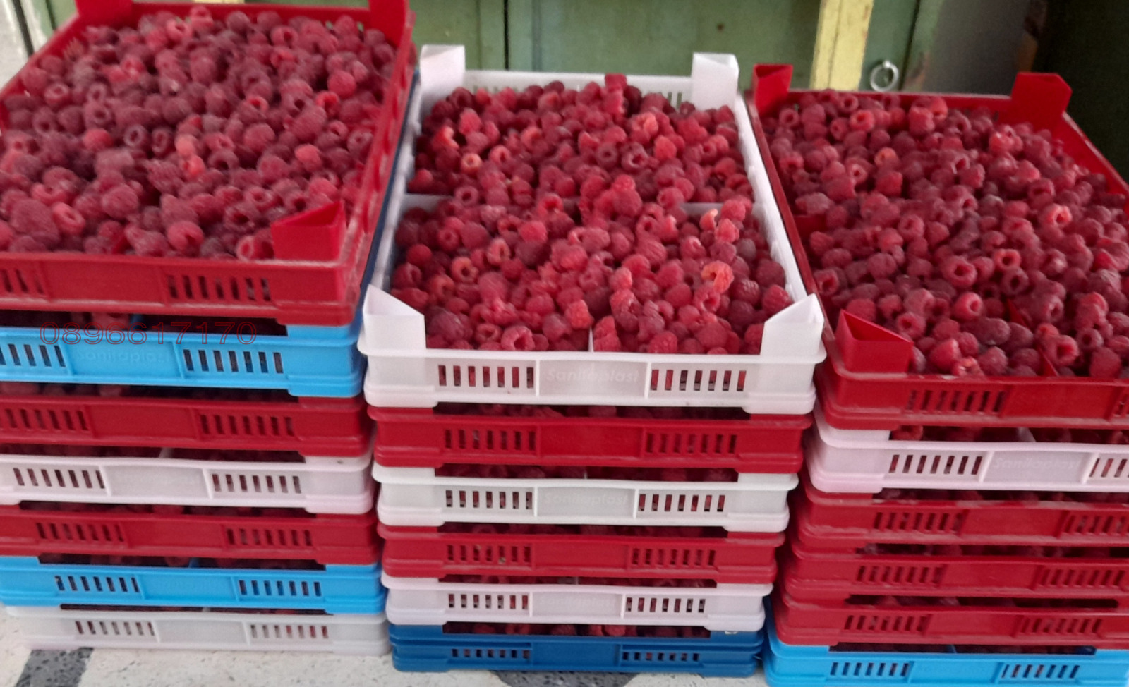 Продава МНОГОСТАЕН, с. Баячево, област Търговище, снимка 4 - Апартаменти - 54242425