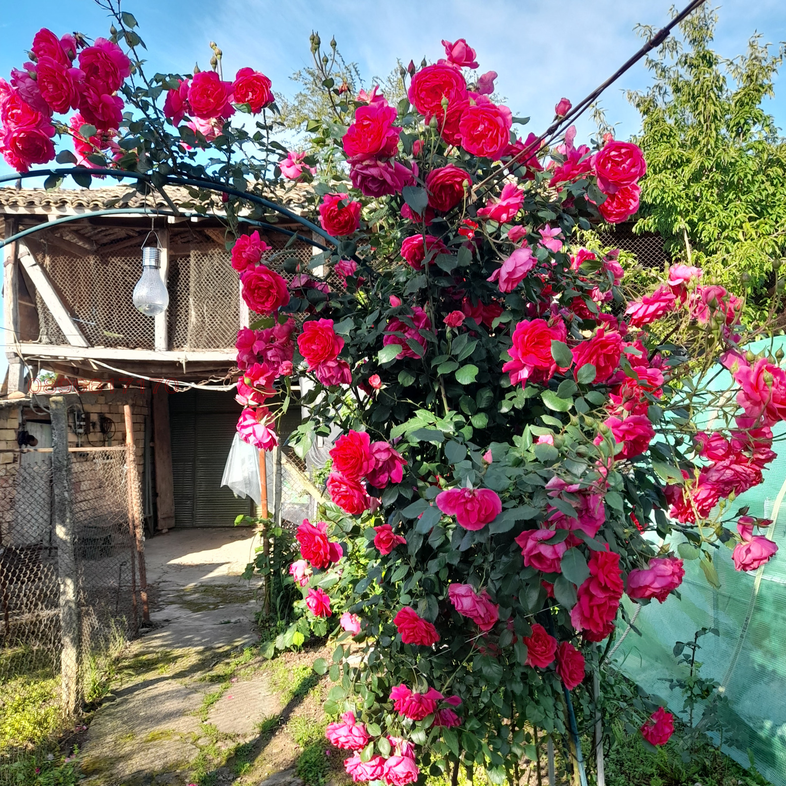 Продава КЪЩА, с. Баячево, област Търговище, снимка 2 - Къщи - 54334631