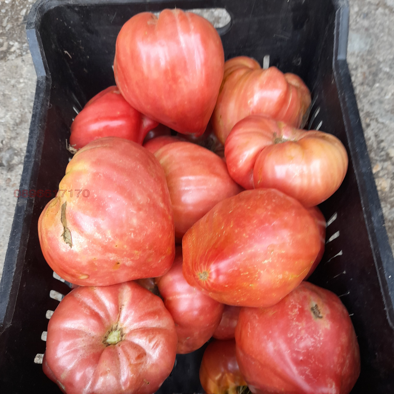 Продава МНОГОСТАЕН, с. Баячево, област Търговище, снимка 6 - Апартаменти - 54242425