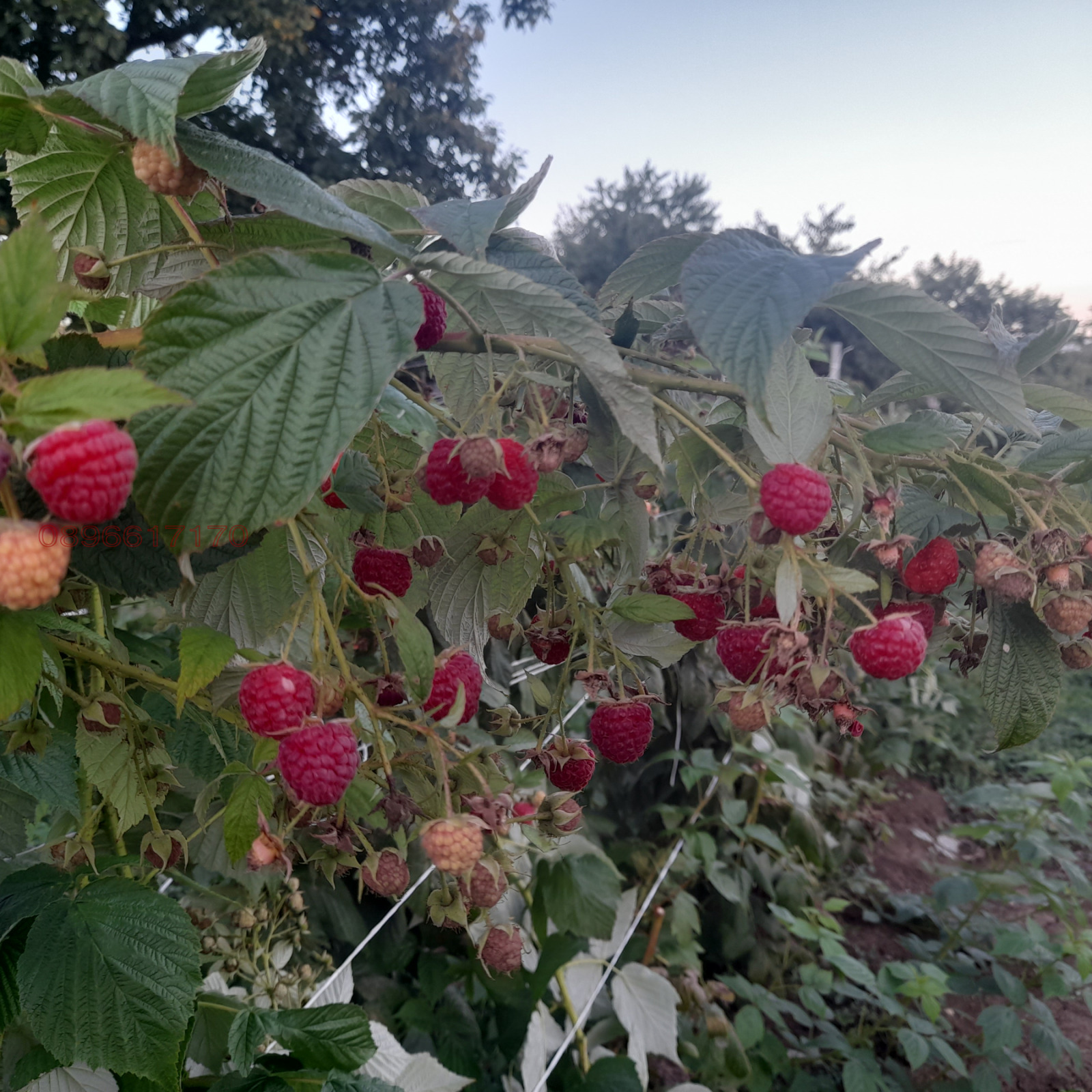 Продава МНОГОСТАЕН, с. Баячево, област Търговище, снимка 12 - Апартаменти - 54242425