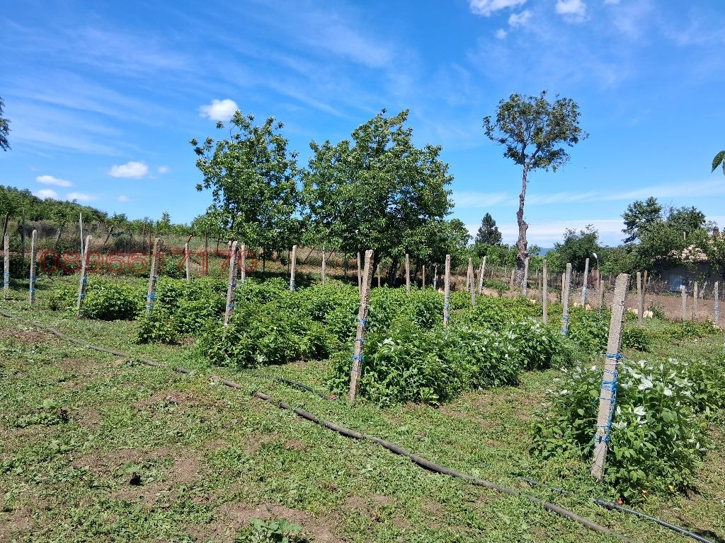Продава КЪЩА, с. Баячево, област Търговище, снимка 9 - Къщи - 54591763