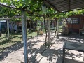 Продава КЪЩА, с. Баячево, област Търговище, снимка 17