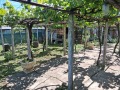 Продава КЪЩА, с. Баячево, област Търговище, снимка 15