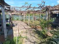 Продава КЪЩА, с. Баячево, област Търговище, снимка 16