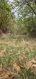 Продава КЪЩА, гр. Карлово, област Пловдив, снимка 11