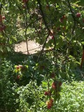 Продава КЪЩА, област София, гр. Ихтиман • 130000 € • 47514212 — Holmes.bg
