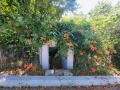 Продава КЪЩА, област Перник, с. Жабляно • 85000 € • 94360725 — Holmes.bg