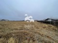 Продава ПАРЦЕЛ, област Пловдив, с. Скутаре • 132000 € • 77061451 — Holmes.bg