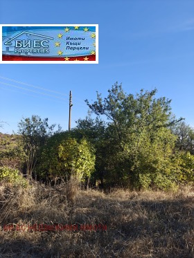 ������� ���� | Imot.bg � ����� ������ 7