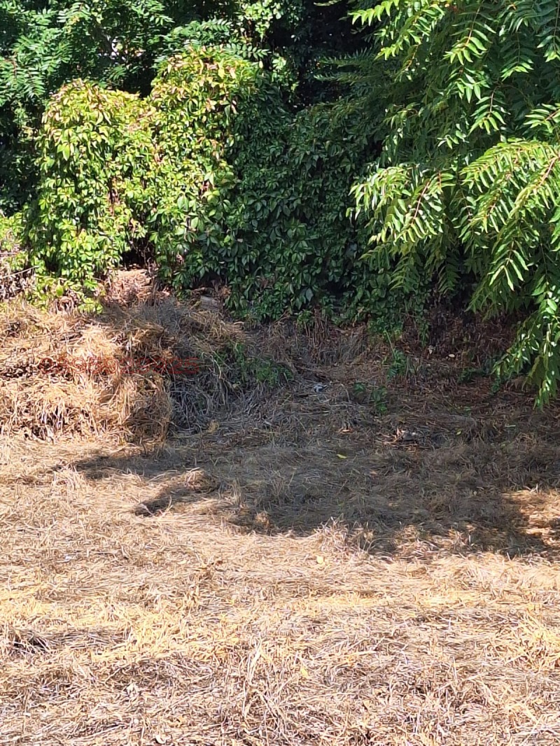 Продава ПАРЦЕЛ, гр. Силистра, Център, снимка 9 - Парцели - 52782687