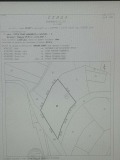 Продава ЗЕМЕДЕЛСКА ЗЕМЯ, с. Сапарево, област Кюстендил, снимка 1