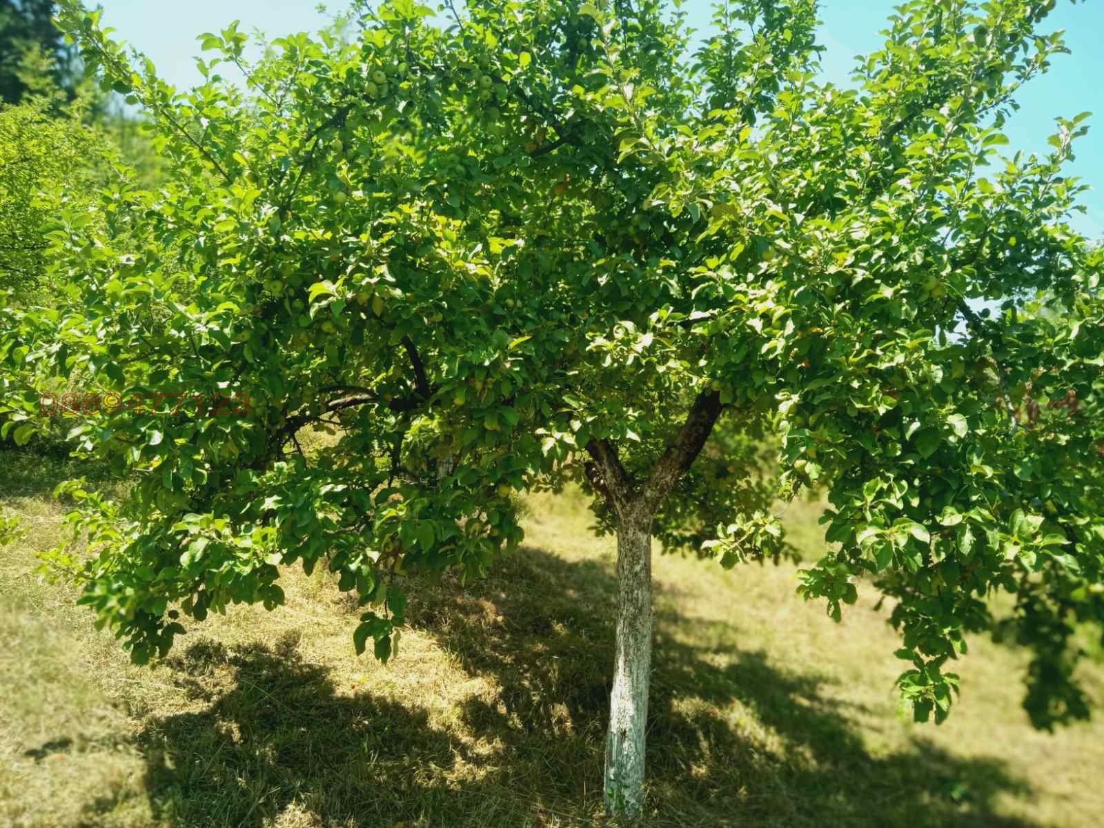 ������� ���������� ���� | Imot.bg � ����������� 11