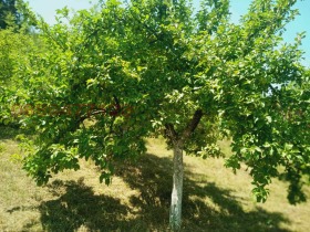 ������� ���������� ���� | Imot.bg � ����� ������ 11