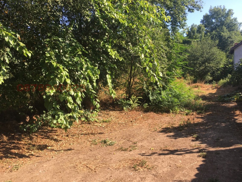 Продава ПАРЦЕЛ, с. Сираково, област Хасково, снимка 3 - Парцели - 53032655