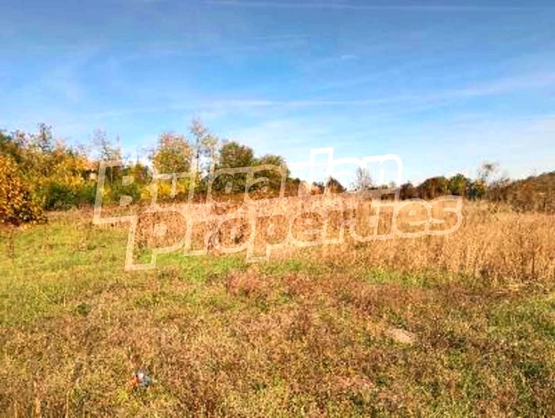 Продава ПАРЦЕЛ, с. Дралфа, област Търговище, снимка 5 - Парцели - 52415660