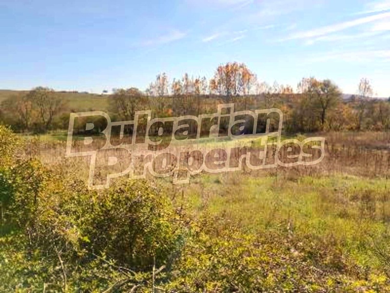 Продава ПАРЦЕЛ, с. Дралфа, област Търговище, снимка 6 - Парцели - 52415660