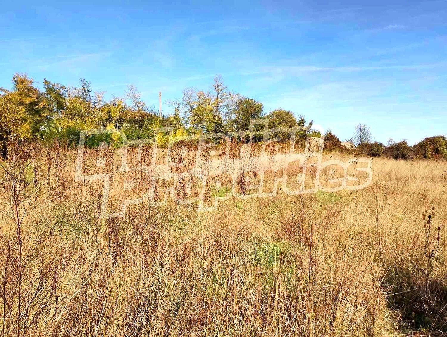 Продава ПАРЦЕЛ, с. Дралфа, област Търговище, снимка 2 - Парцели - 52415660