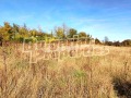 Продава ПАРЦЕЛ, с. Дралфа, област Търговище, снимка 2