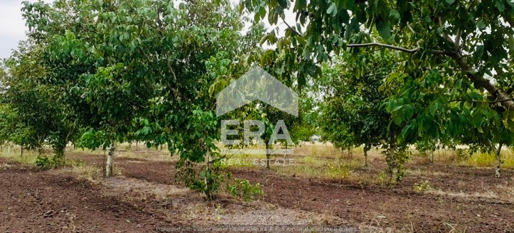 ������� ���������� ���� | Imot.bg � ����������� 3