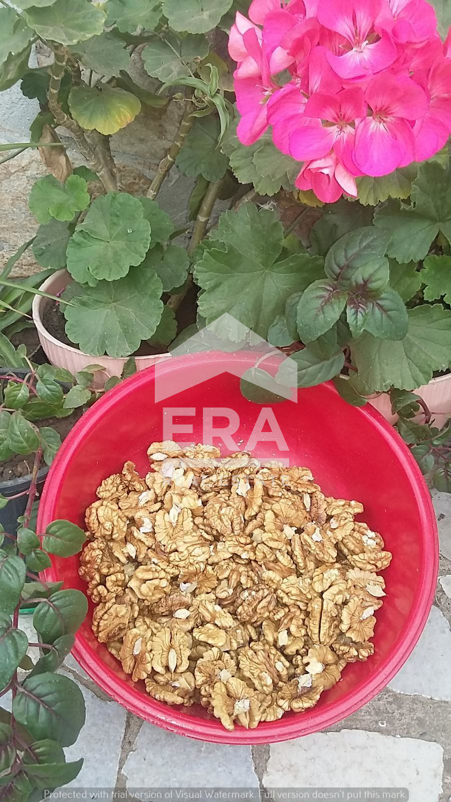 ������� ���������� ���� | Imot.bg � ����������� 4