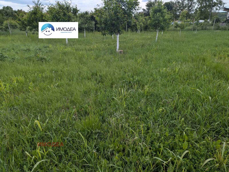 Продава  Парцел област Велико Търново , гр. Дебелец , 850 кв.м | 22014459 - изображение [5]