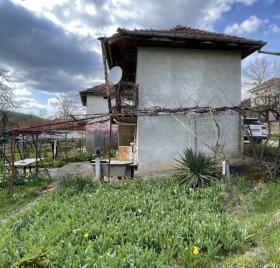 ����� ������� ����,���� �����, ���������