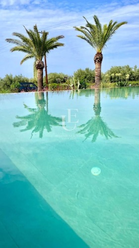 ������� ���� | Imot.bg � ����� ������ 8