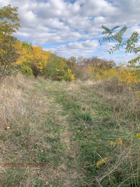 Парцел гр. Карлово, област Пловдив 3