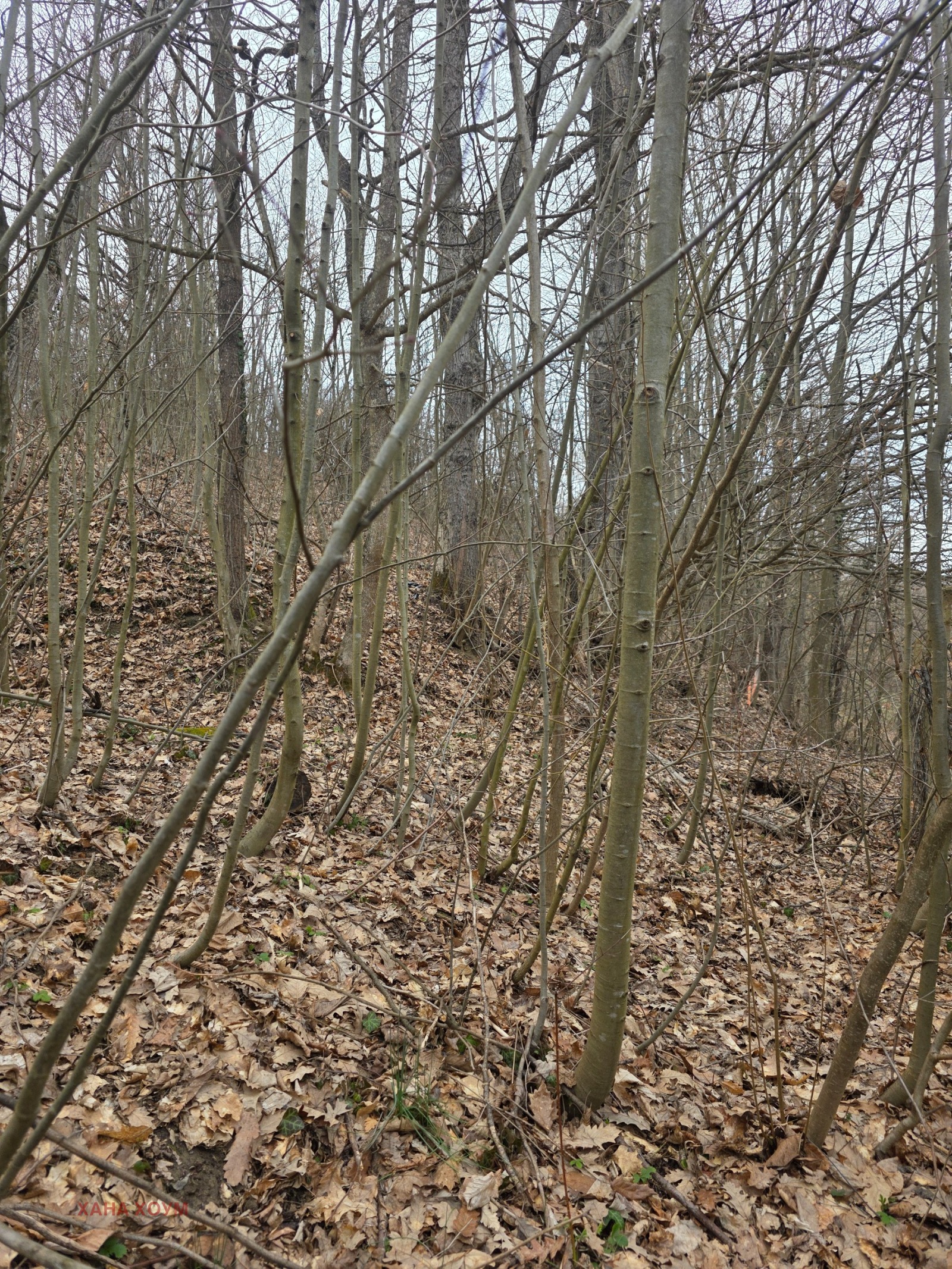 Продава ПАРЦЕЛ, с. Балканец, област Ловеч, снимка 4 - Парцели - 53861974