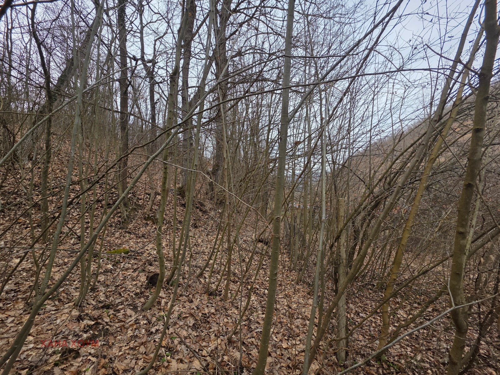 Продава ПАРЦЕЛ, с. Балканец, област Ловеч, снимка 3 - Парцели - 53861974