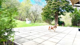 ������� ���� | Imot.bg � ����� ������ 12