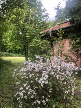 ����� ������� ����,���� �����, ����������>