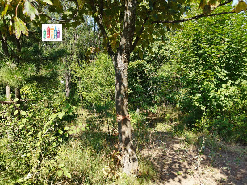 Na sprzedaż  Działka Sofia , Marczaewo , 1382 mkw | 14477857 - obraz [10]