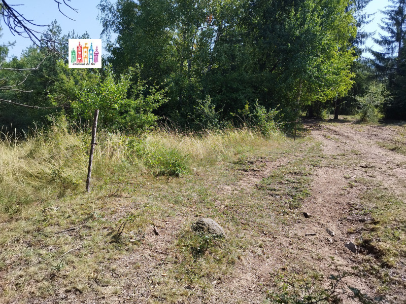 Na sprzedaż  Działka Sofia , Marczaewo , 1382 mkw | 14477857 - obraz [5]