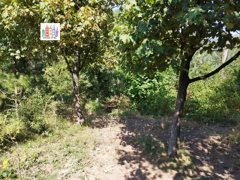 Na sprzedaż  Działka Sofia , Marczaewo , 1382 mkw | 14477857 - obraz [7]