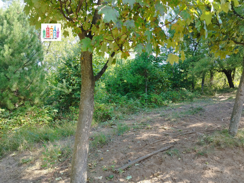 Na sprzedaż  Działka Sofia , Marczaewo , 1382 mkw | 14477857 - obraz [12]