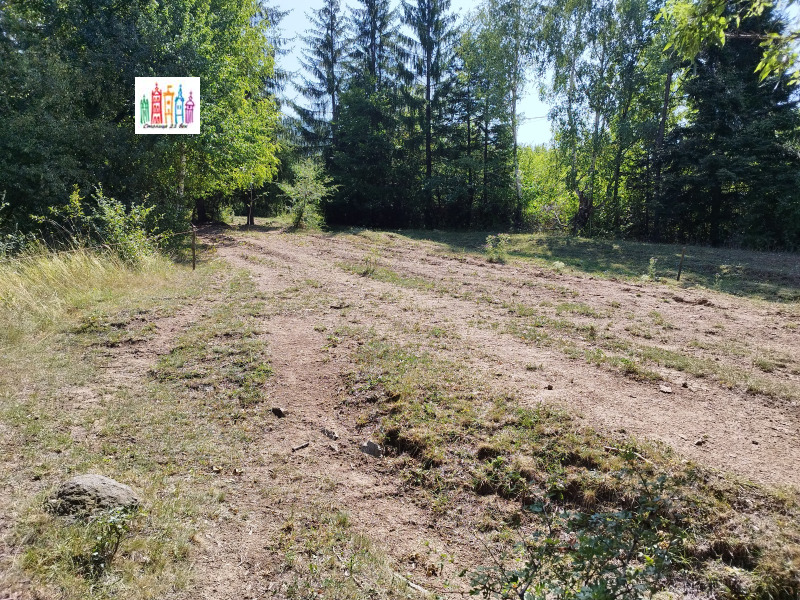Na sprzedaż  Działka Sofia , Marczaewo , 1382 mkw | 14477857 - obraz [3]