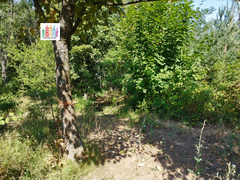Na sprzedaż  Działka Sofia , Marczaewo , 1382 mkw | 14477857 - obraz [8]