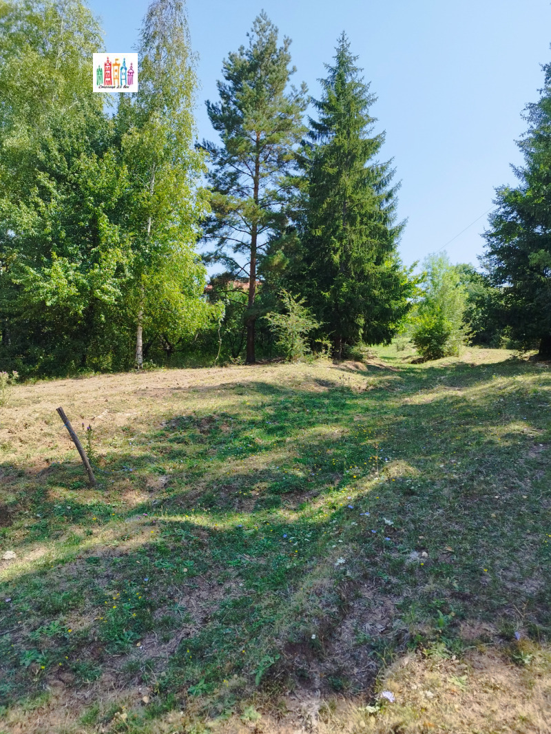 Na sprzedaż  Działka Sofia , Marczaewo , 1382 mkw | 14477857 - obraz [16]
