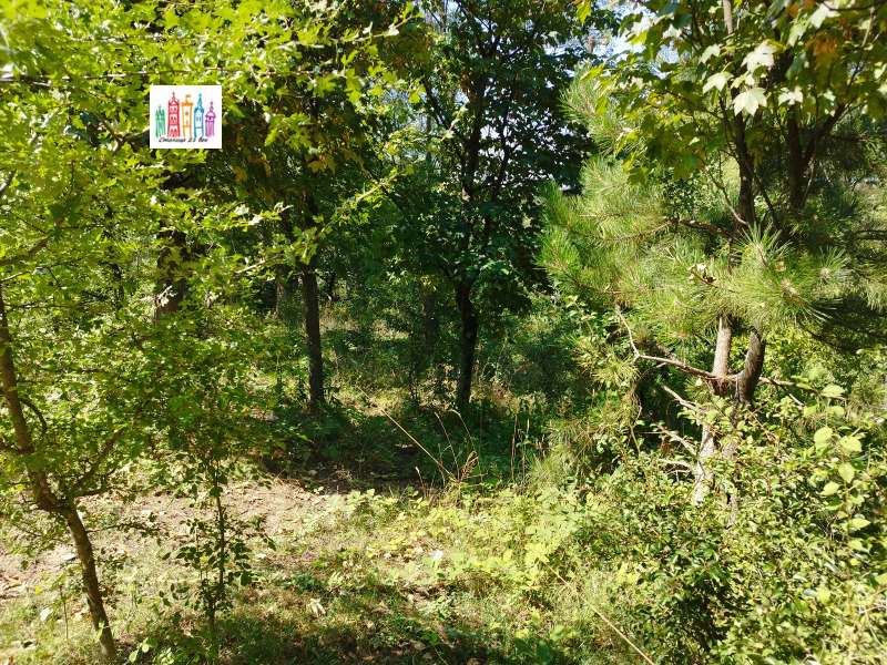 Na sprzedaż  Działka Sofia , Marczaewo , 1382 mkw | 14477857 - obraz [9]